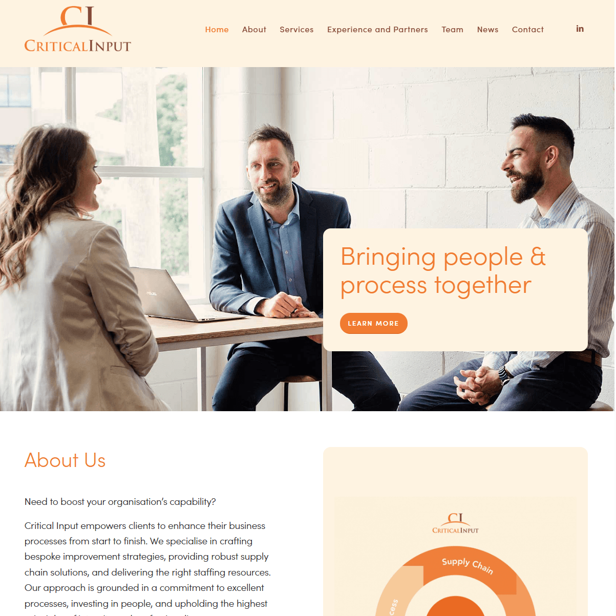 Critical Input project image 1